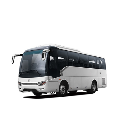 Dragon Diesel Luxury Coach Bus de oro 220 HP los 8m 10 - 34 asientos Team Travel Bus